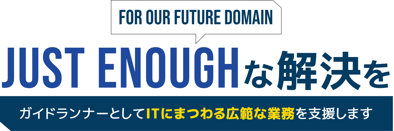 FOR OUR FUTURE DOMAIN　JUST ENOUGHな解決をーガイドランナーとしてITにまつわる広範な業務を支援します